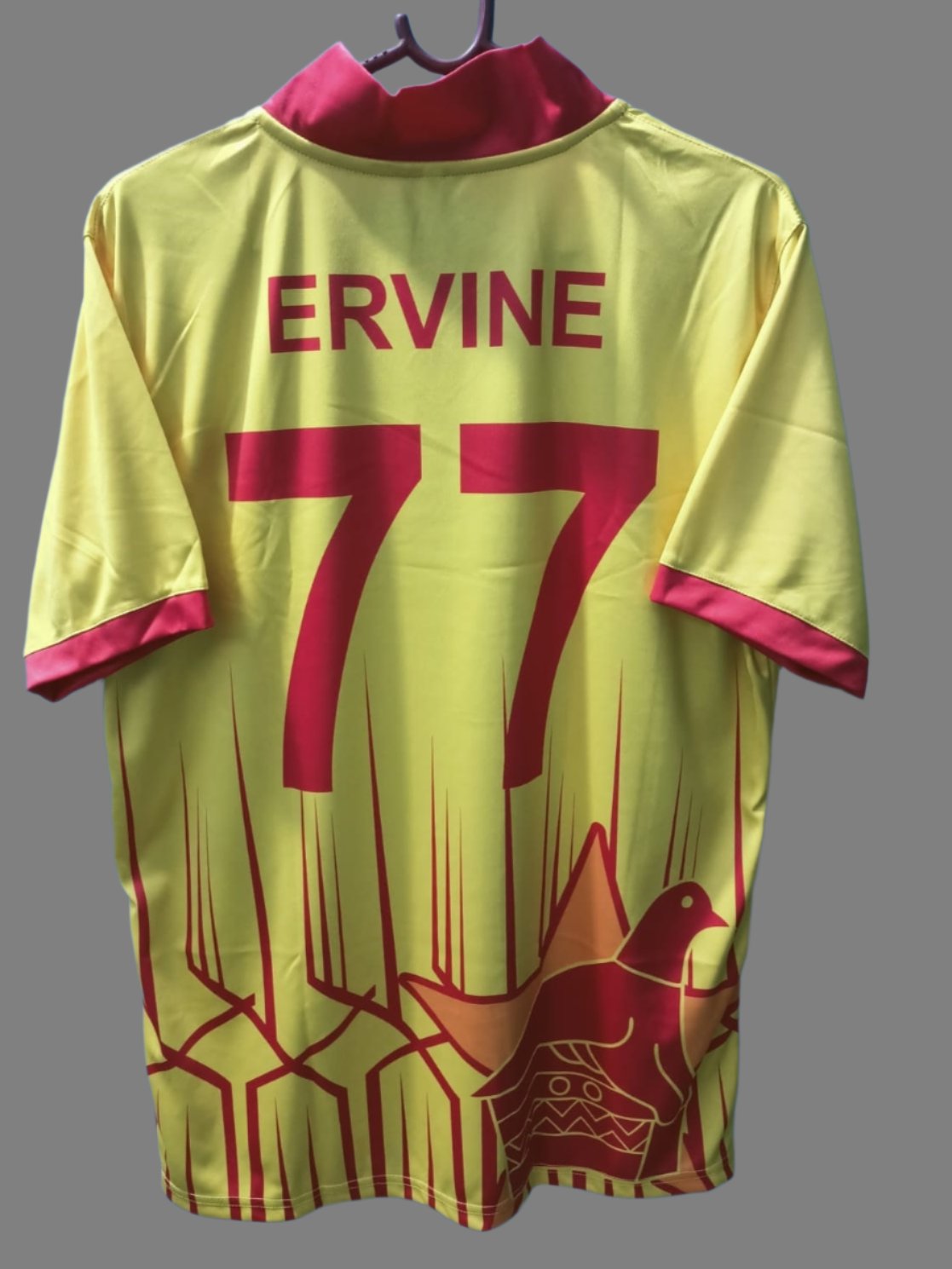 Cricket Zimbabwe WC T20 2022 T-Shirt Jersey Short Sleeve New Sublimated